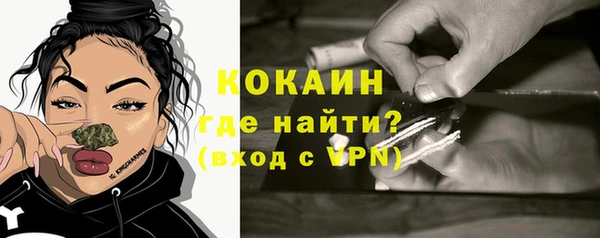 прущая мука Дмитриев