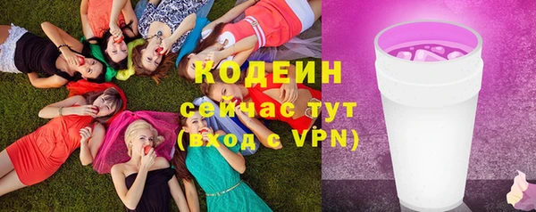 прущая мука Дмитриев