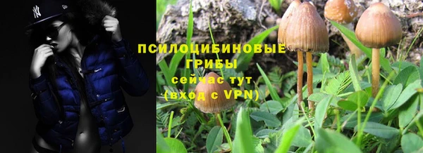 первитин Дмитровск